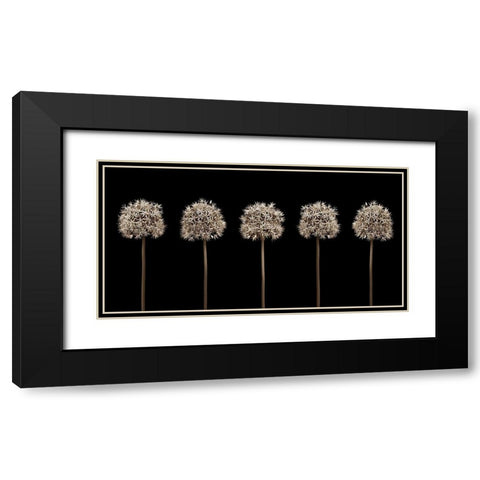 Three puple allium flowers in a row-close-up Black Modern Wood Framed Art Print with Double Matting by Frank, Assaf