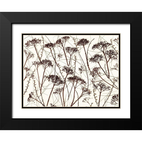 Dried Hydrangea Black Modern Wood Framed Art Print with Double Matting by Frank, Assaf