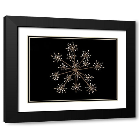 Cow parsley Black Modern Wood Framed Art Print with Double Matting by Frank, Assaf