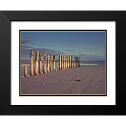 Groynes at ast head beach, West Susex coast Black Modern Wood Framed Art Print with Double Matting by Frank, Assaf
