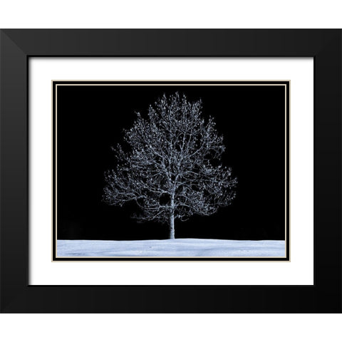 Single tree against skies in snow Black Modern Wood Framed Art Print with Double Matting by Frank, Assaf