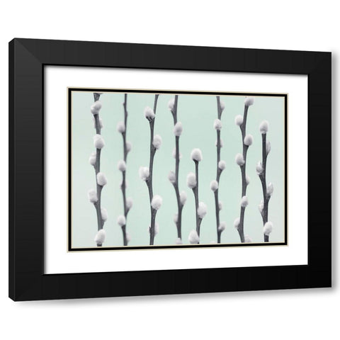 Pussy Willow twigs Black Modern Wood Framed Art Print with Double Matting by Frank, Assaf