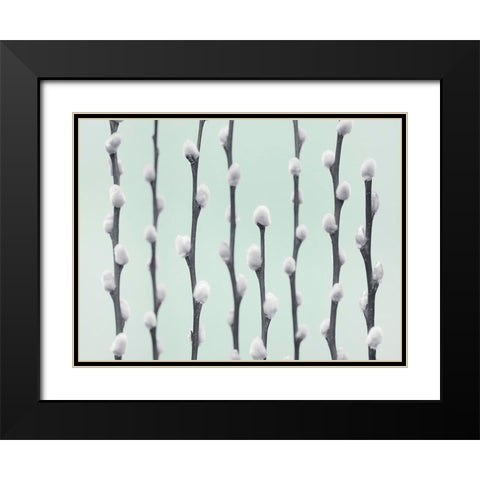 Pussy Willow twigs Black Modern Wood Framed Art Print with Double Matting by Frank, Assaf