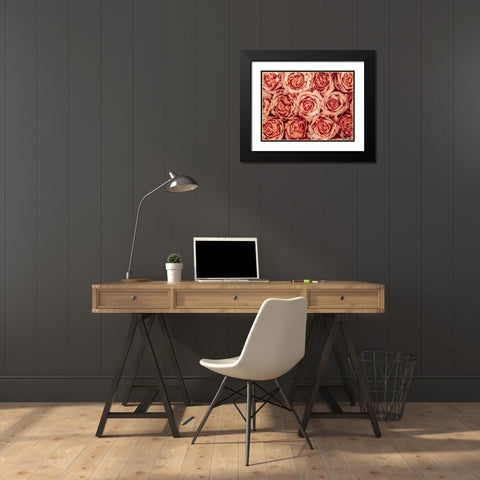 Background of roses Black Modern Wood Framed Art Print with Double Matting by Frank, Assaf
