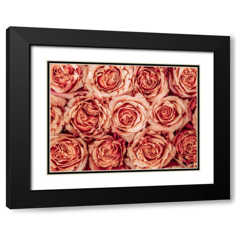 Background of roses Black Modern Wood Framed Art Print with Double Matting by Frank, Assaf