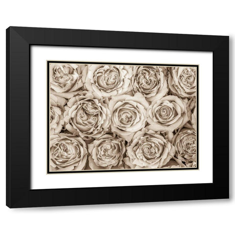 Background of roses Black Modern Wood Framed Art Print with Double Matting by Frank, Assaf