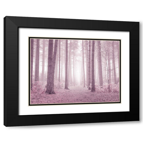 Misty trees in pink Black Modern Wood Framed Art Print with Double Matting by Frank, Assaf