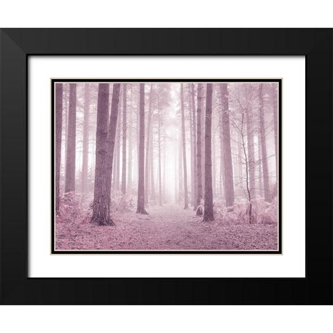 Misty trees in pink Black Modern Wood Framed Art Print with Double Matting by Frank, Assaf