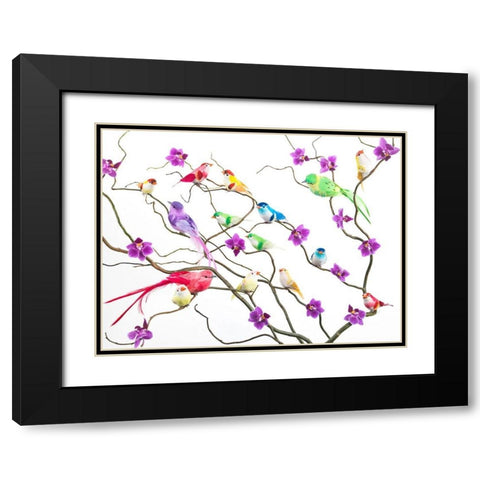 Fake birds on branches Black Modern Wood Framed Art Print with Double Matting by Frank, Assaf