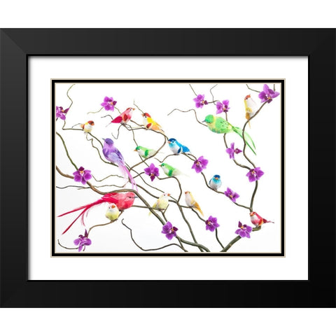 Fake birds on branches Black Modern Wood Framed Art Print with Double Matting by Frank, Assaf