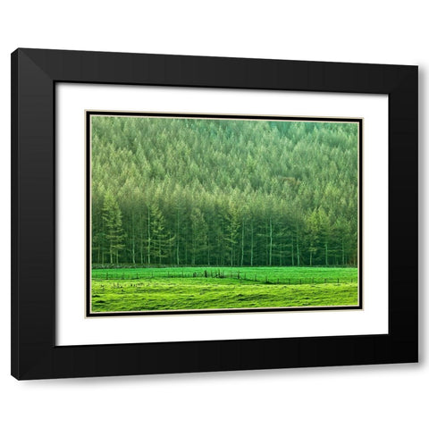 Forest edge Black Modern Wood Framed Art Print with Double Matting by Frank, Assaf