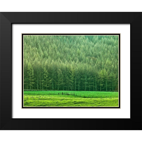 Forest edge Black Modern Wood Framed Art Print with Double Matting by Frank, Assaf