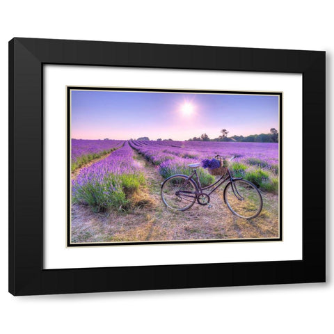 Bicycle with flowers in a Lavender field Black Modern Wood Framed Art Print with Double Matting by Frank, Assaf