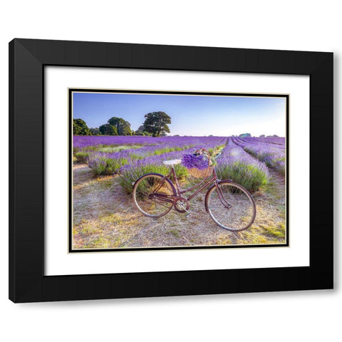 Bicycle with flowers in a Lavender field Black Modern Wood Framed Art Print with Double Matting by Frank, Assaf