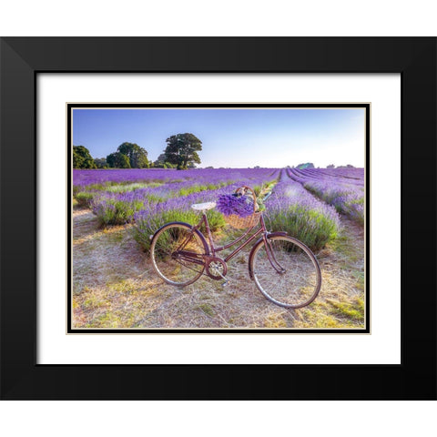 Bicycle with flowers in a Lavender field Black Modern Wood Framed Art Print with Double Matting by Frank, Assaf