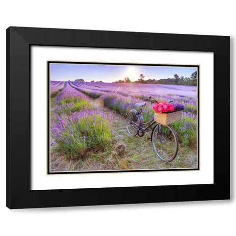 Bicycle with flowers in a Lavender field Black Modern Wood Framed Art Print with Double Matting by Frank, Assaf