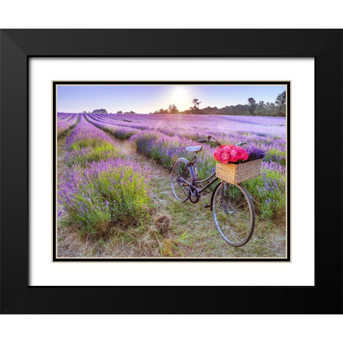 Bicycle with flowers in a Lavender field Black Modern Wood Framed Art Print with Double Matting by Frank, Assaf