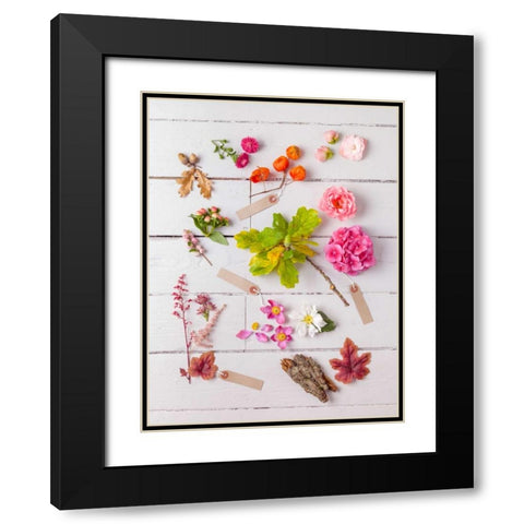 Eclectic plants on wooden background Black Modern Wood Framed Art Print with Double Matting by Frank, Assaf