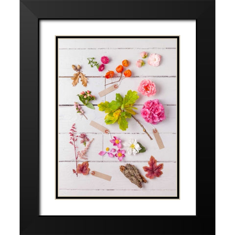 Eclectic plants on wooden background Black Modern Wood Framed Art Print with Double Matting by Frank, Assaf