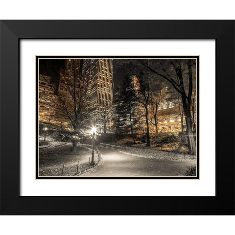 Evening view of Central Park in New York City Black Modern Wood Framed Art Print with Double Matting by Frank, Assaf