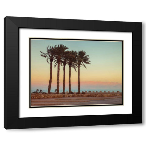 Palm trees on beach of Dead sea, Israel Black Modern Wood Framed Art Print with Double Matting by Frank, Assaf