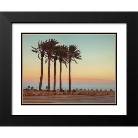 Palm trees on beach of Dead sea, Israel Black Modern Wood Framed Art Print with Double Matting by Frank, Assaf