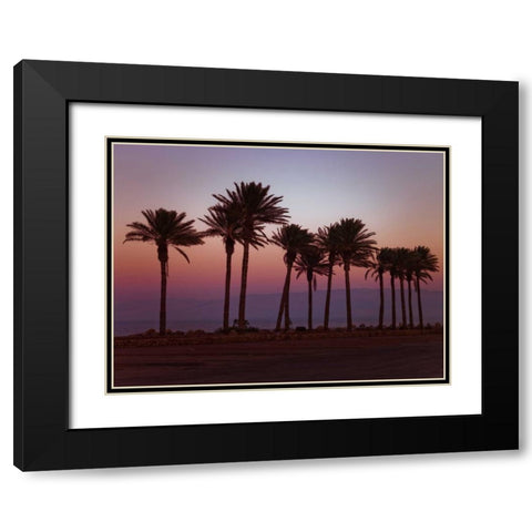 Palm trees on beach of Dead sea, Israel Black Modern Wood Framed Art Print with Double Matting by Frank, Assaf