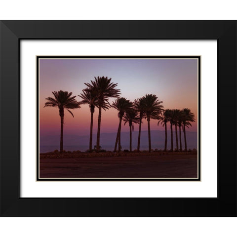 Palm trees on beach of Dead sea, Israel Black Modern Wood Framed Art Print with Double Matting by Frank, Assaf