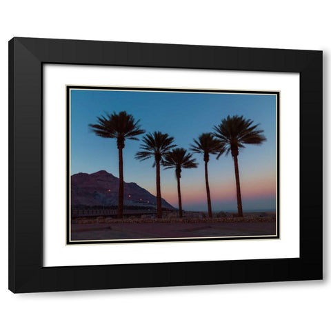 Palm trees on beach of Dead sea, Israel Black Modern Wood Framed Art Print with Double Matting by Frank, Assaf