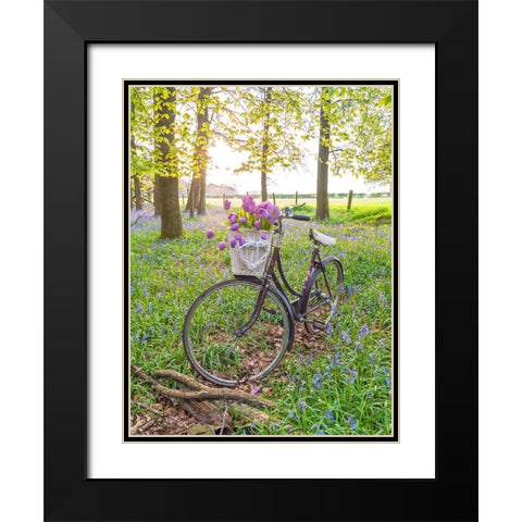 Bicycle in spring forest with bunch of flowers Black Modern Wood Framed Art Print with Double Matting by Frank, Assaf