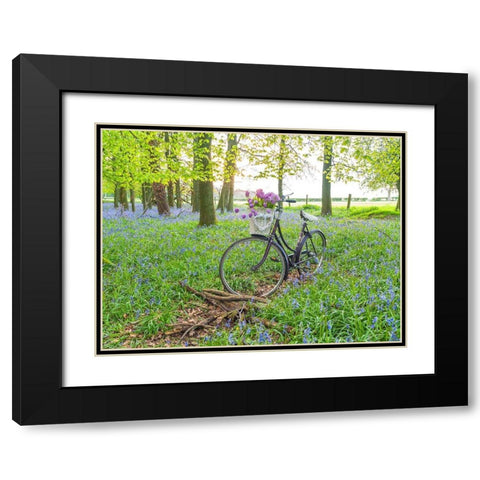 Bicycle in spring forest with bunch of flowers Black Modern Wood Framed Art Print with Double Matting by Frank, Assaf