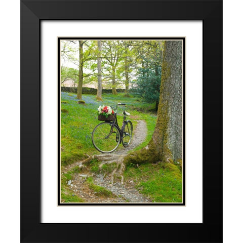 Bicycle in spring forest Black Modern Wood Framed Art Print with Double Matting by Frank, Assaf