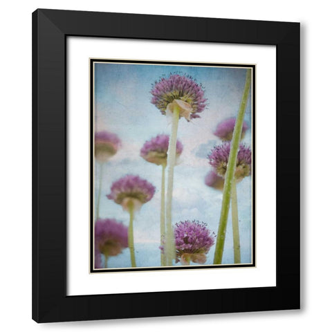Beautiful Allium flowers Black Modern Wood Framed Art Print with Double Matting by Frank, Assaf
