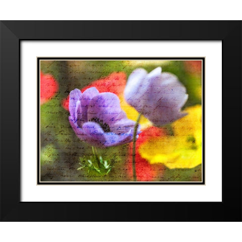 Beautiful Yellow colored Anemone flowers in garden Black Modern Wood Framed Art Print with Double Matting by Frank, Assaf