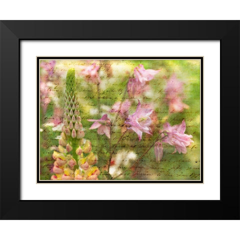 Colorful Aquilegia flowers on plants in garden Black Modern Wood Framed Art Print with Double Matting by Frank, Assaf