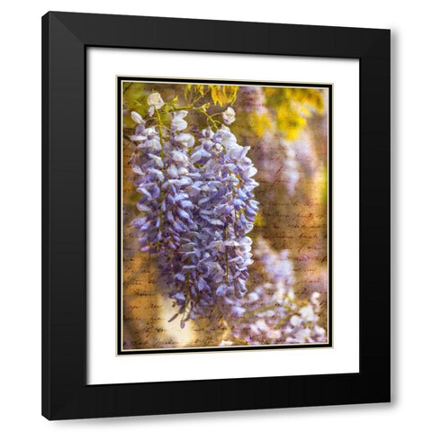 Beautiful Allium flowers Black Modern Wood Framed Art Print with Double Matting by Frank, Assaf