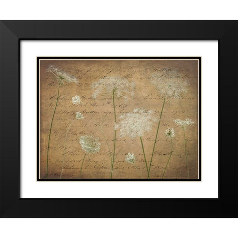 Cow parsley flowers on coloured background Black Modern Wood Framed Art Print with Double Matting by Frank, Assaf