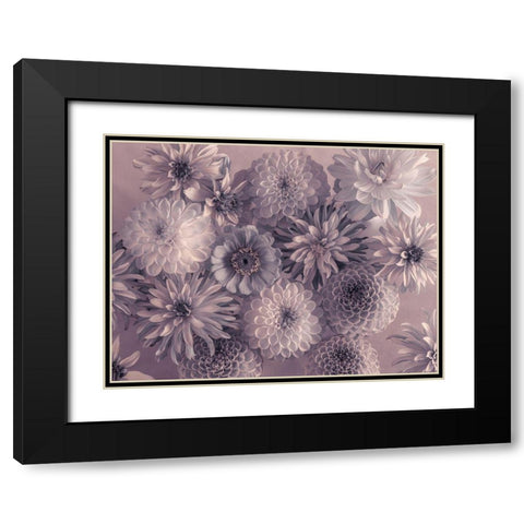 Full frame of mixed flowers Black Modern Wood Framed Art Print with Double Matting by Frank, Assaf