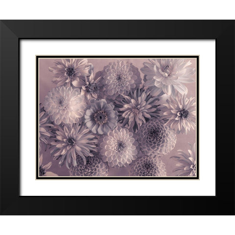 Full frame of mixed flowers Black Modern Wood Framed Art Print with Double Matting by Frank, Assaf