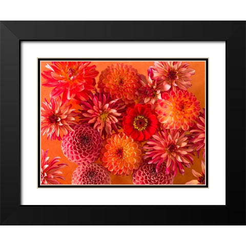 Full frame of mixed flowers Black Modern Wood Framed Art Print with Double Matting by Frank, Assaf