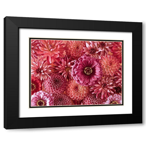 Mixed flowers Black Modern Wood Framed Art Print with Double Matting by Frank, Assaf