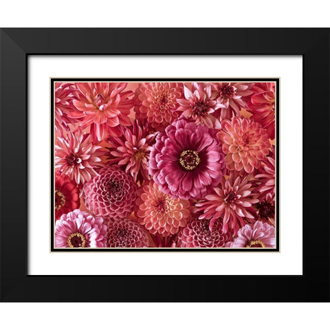 Mixed flowers Black Modern Wood Framed Art Print with Double Matting by Frank, Assaf