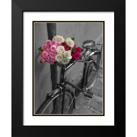 Bunch of Roses on bicycle, Paris, France Black Modern Wood Framed Art Print with Double Matting by Frank, Assaf