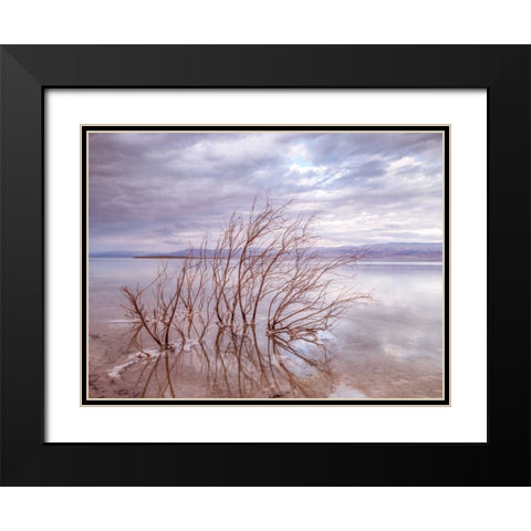 Dead Sea, Israel Black Modern Wood Framed Art Print with Double Matting by Frank, Assaf