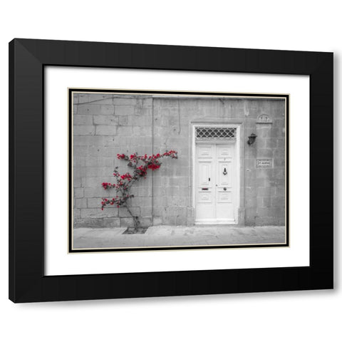 Old wooden door on house in Mdina, Malta Black Modern Wood Framed Art Print with Double Matting by Frank, Assaf