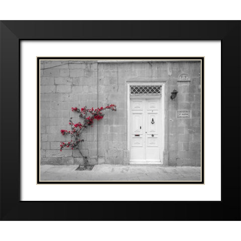 Old wooden door on house in Mdina, Malta Black Modern Wood Framed Art Print with Double Matting by Frank, Assaf