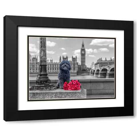 Dog by a lampost with bunch of Roses, London, UK Black Modern Wood Framed Art Print with Double Matting by Frank, Assaf