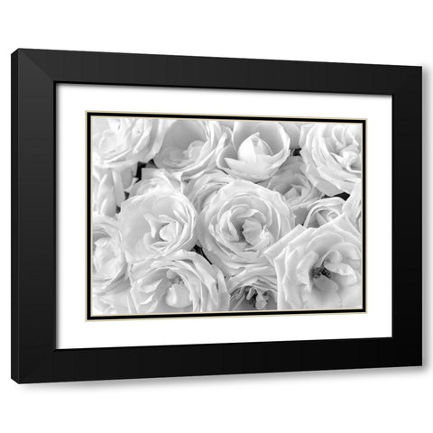 Full frame of roses Black Modern Wood Framed Art Print with Double Matting by Frank, Assaf
