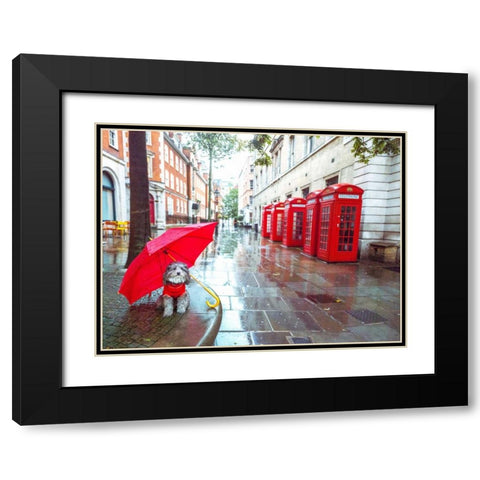 Dog with umbrella on London city street Black Modern Wood Framed Art Print with Double Matting by Frank, Assaf