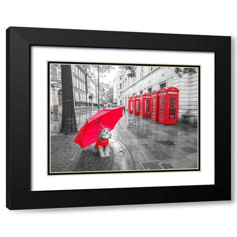 Dog with umbrella in London Black Modern Wood Framed Art Print with Double Matting by Frank, Assaf